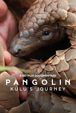 Pangolin: Kulu’s Journey การเดินทางของคูลู (2025) NETFLIX บรรยายไทย